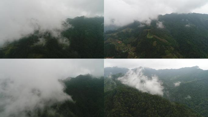 云雾、大山、穿过云雾见大山航拍