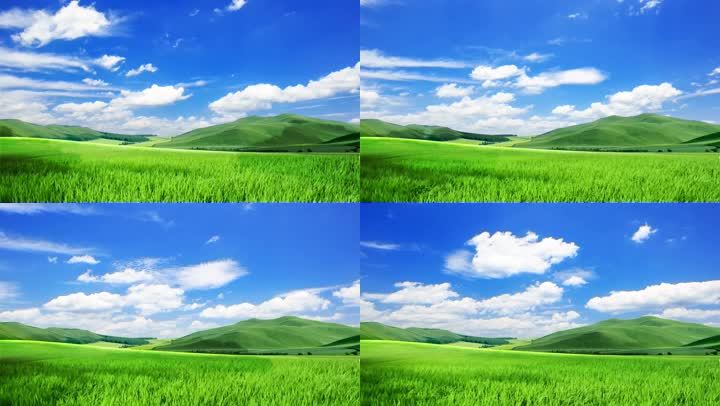 超长唯美草原背景视频 19x1080 高清视频素材下载 编号 实拍视频 Vj师网www Vjshi Com