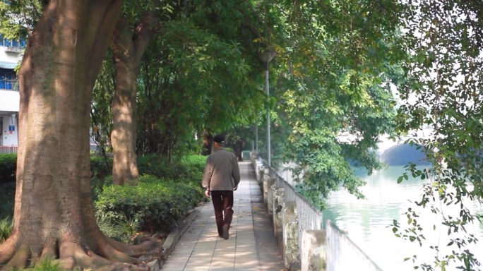 【原创】河边大树老人散步