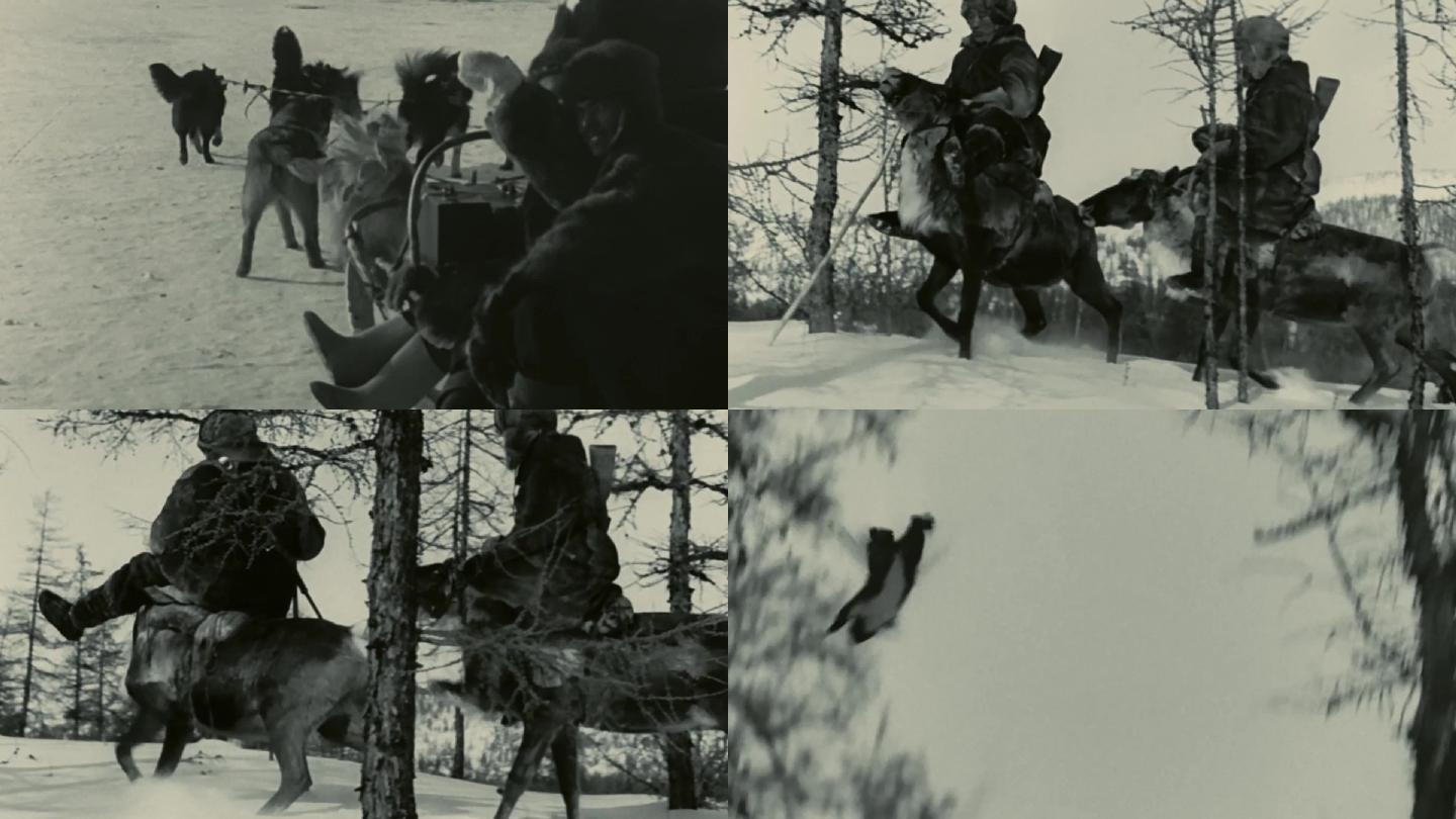 林海雪原猎人打猎