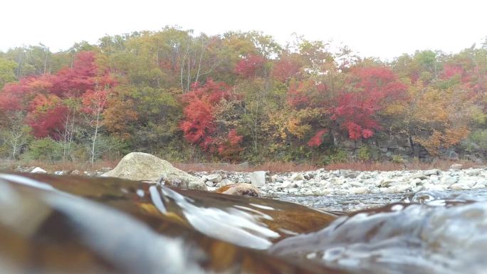 红叶秋天小溪水面