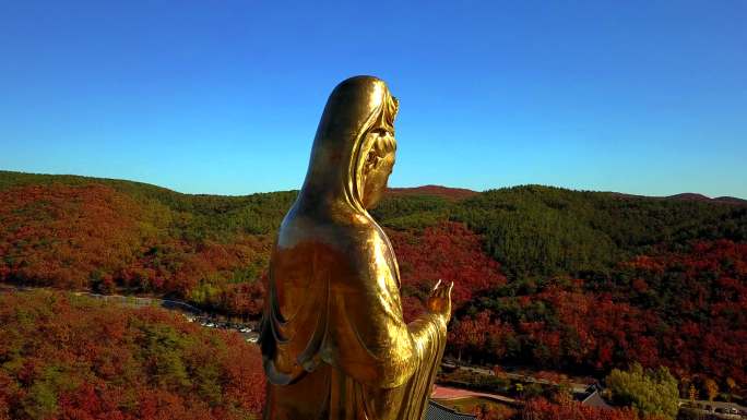 航拍横山寺观音阁秋天公园景色