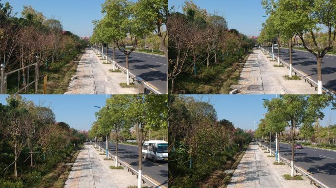 市政公路绿化