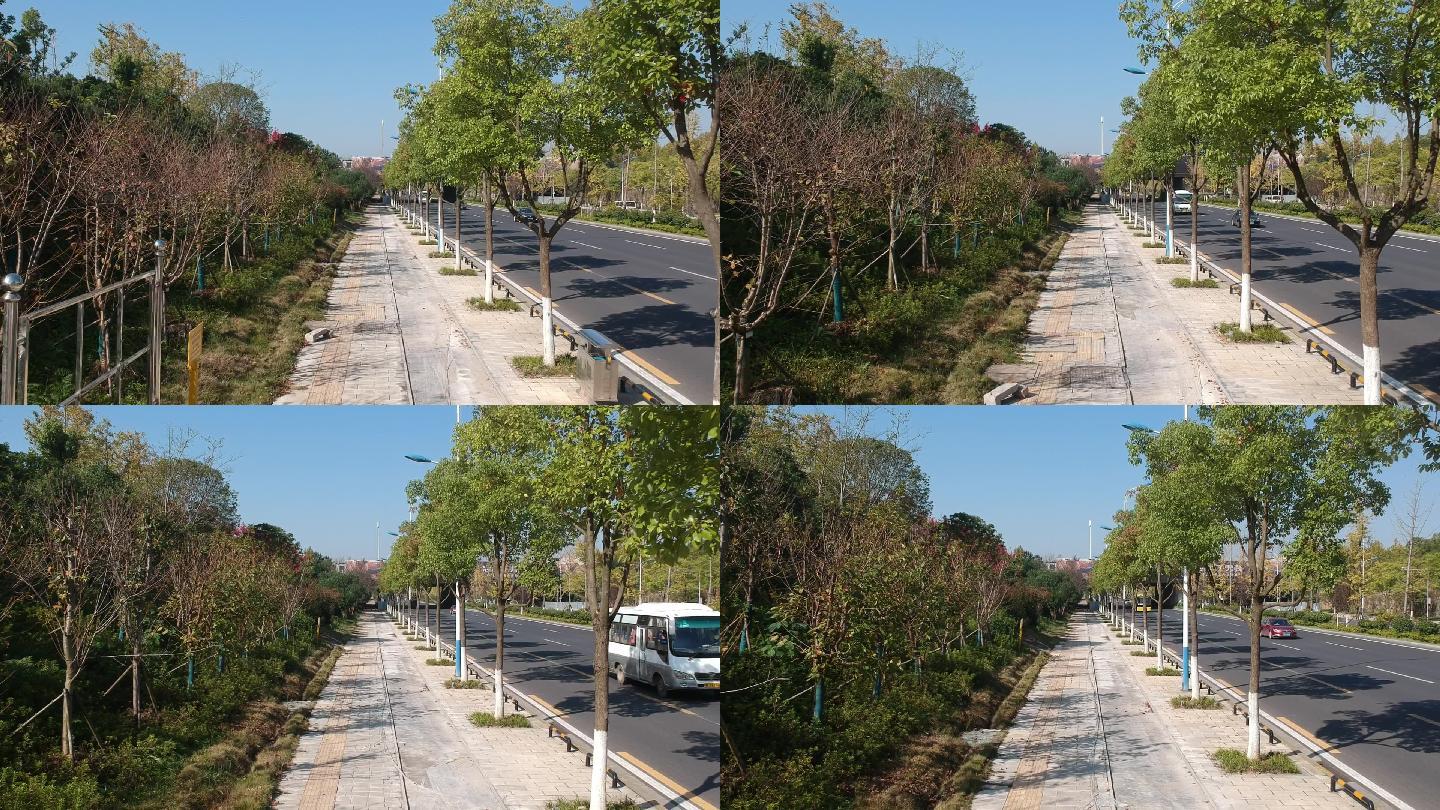 市政公路绿化