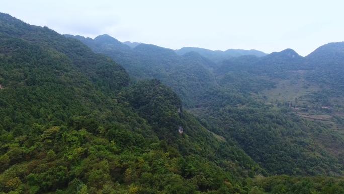 航拍林区深山山区峡谷绿色植被树林