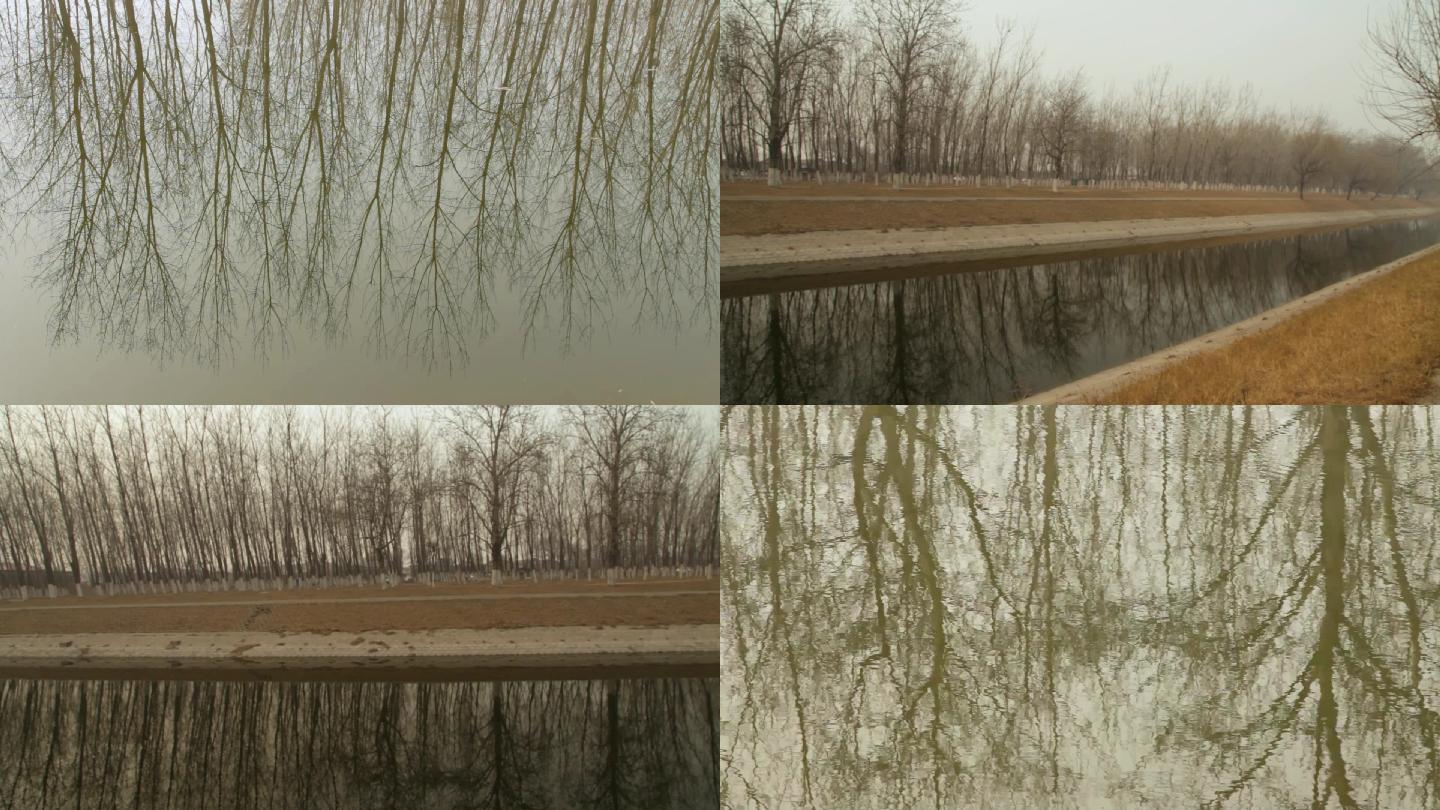 【原创】初冬风景、干枯树枝、水中倒影