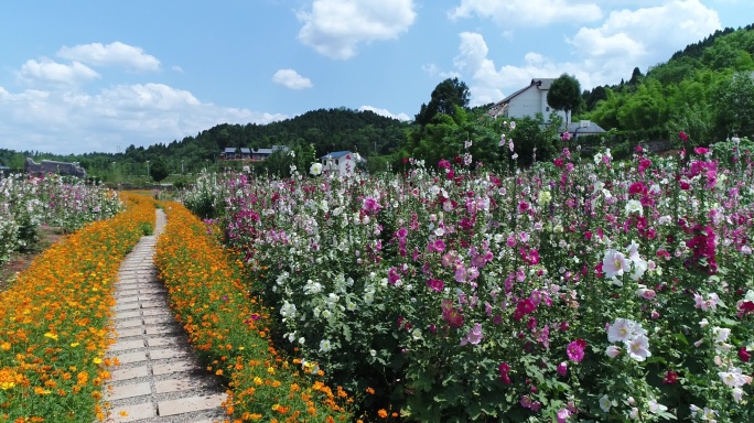 四川成都金堂花谷