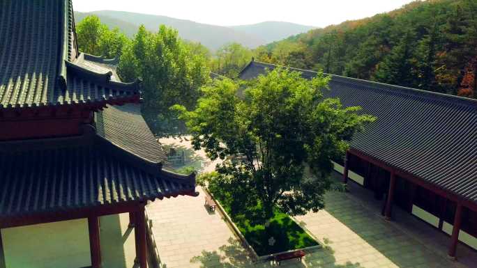 航拍寺庙秋天风光横山寺