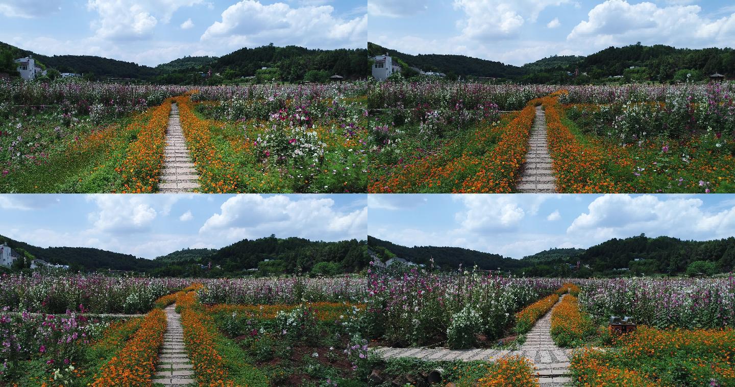 四川成都金堂花谷