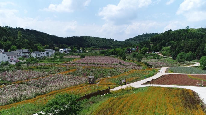 四川成都金堂花谷