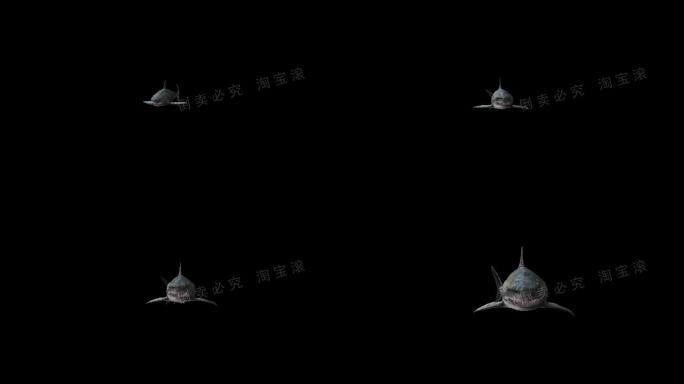 鲨鱼冲屏4k（06）-alpha循环