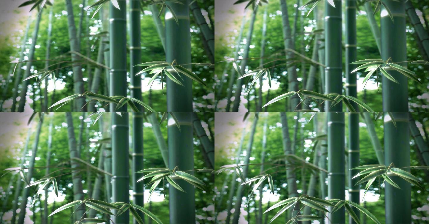 竹子竹叶生长