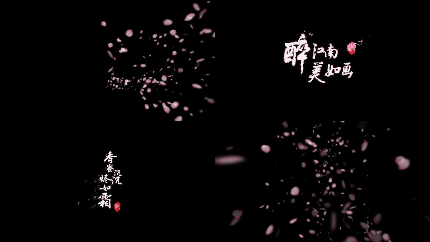 中国风唯美文字字幕
