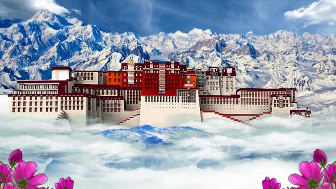 4K西藏布达拉宫格桑花背景