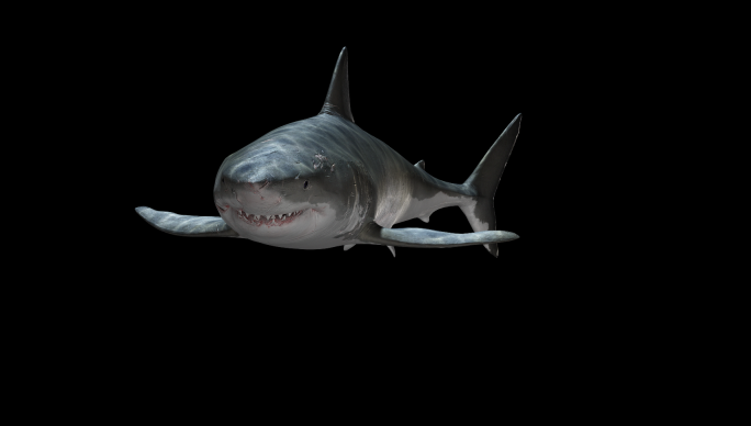 鲨鱼-宽屏6k（02）-alpha通道