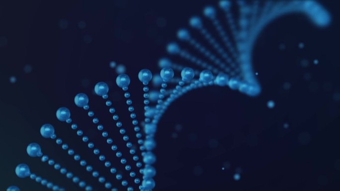 DNA链条AE工程