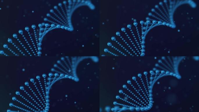 DNA链条AE工程