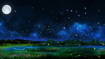 夏夜视频素材下载 夏夜ae模板下载 光厂 Vj师网