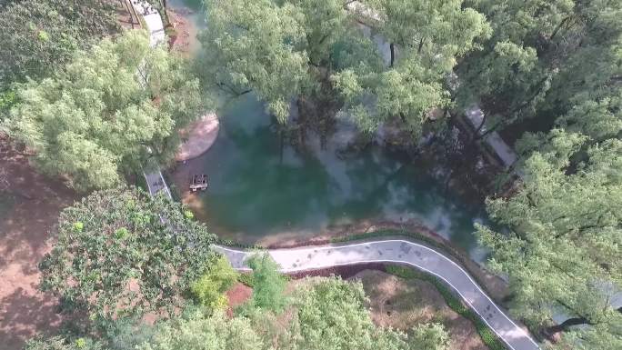 改造后的陈家沟东沟04