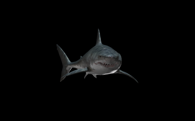 鲨鱼-宽屏（01）-alpha通道