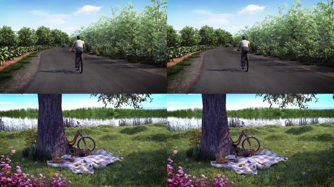 野外-骑自行车-花草