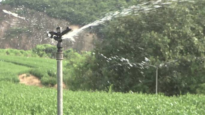 航拍茶园喷灌节水