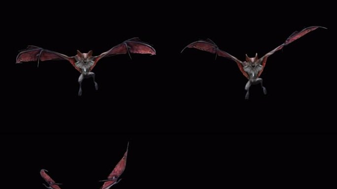 怪物-蝙蝠精-飞行（带通道）