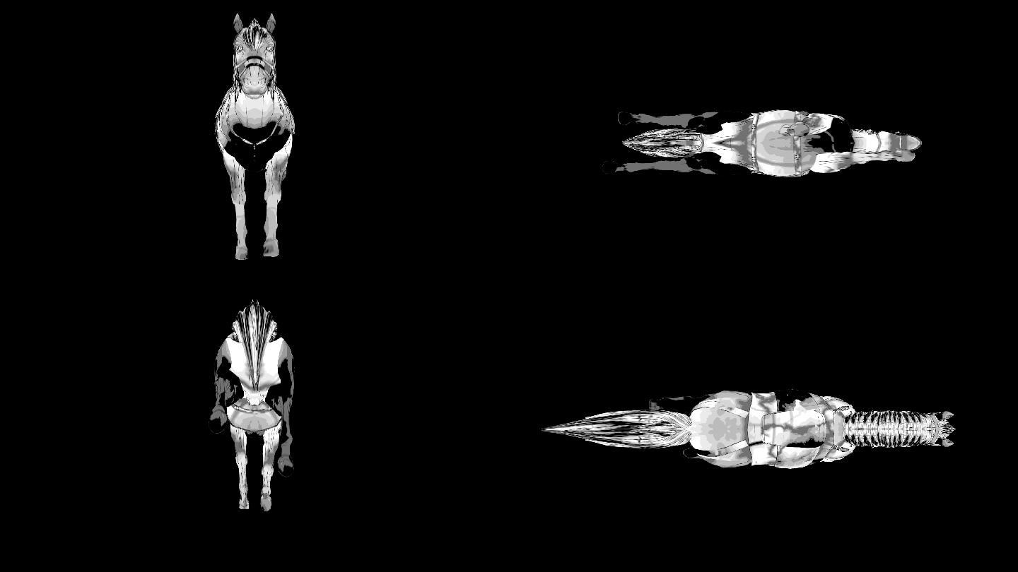 水墨马奔跑的马马跑各种角度