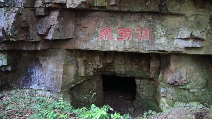 贺州土匪窝原始森林岩洞岩石