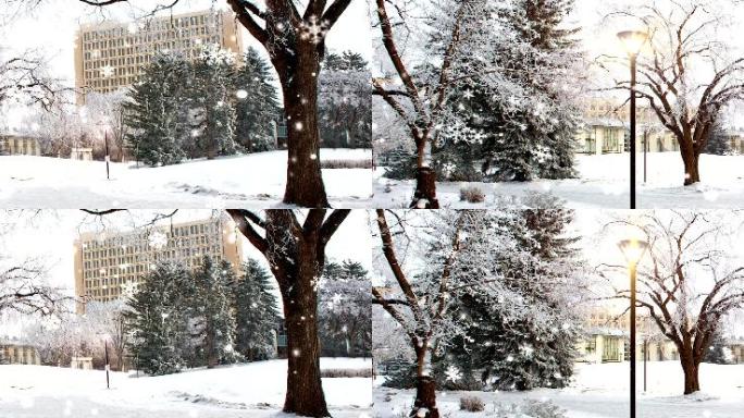 白皑皑的都市雪地