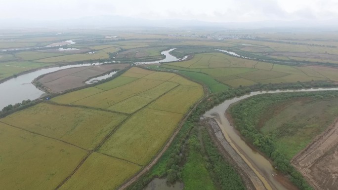 五常大米原产地航拍素材