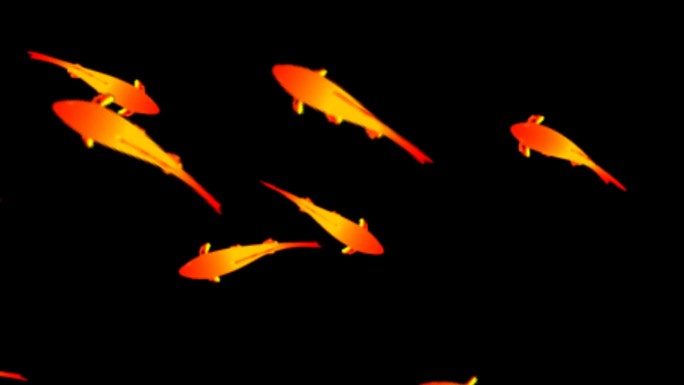 鱼游动锦鲤金鱼-透明通道