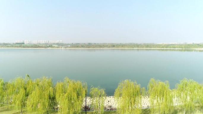 郑州象湖风景风光航拍视频
