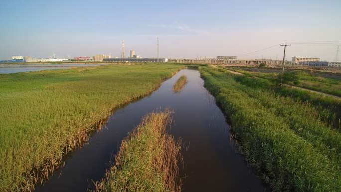 潍坊市羊口镇湿地航拍-2