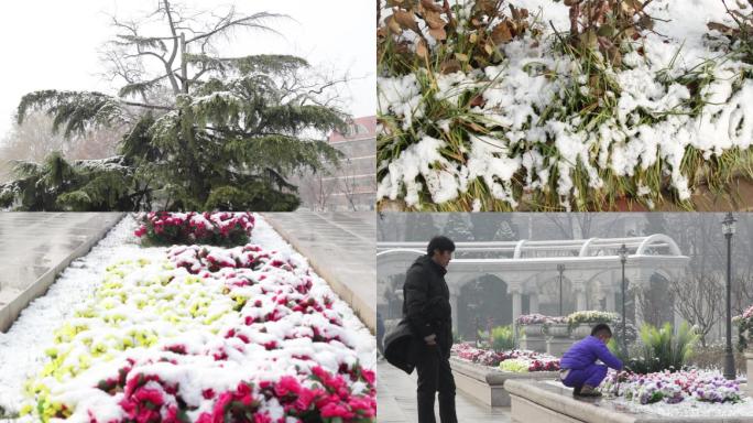 【原创】城市雪景雪后清晨