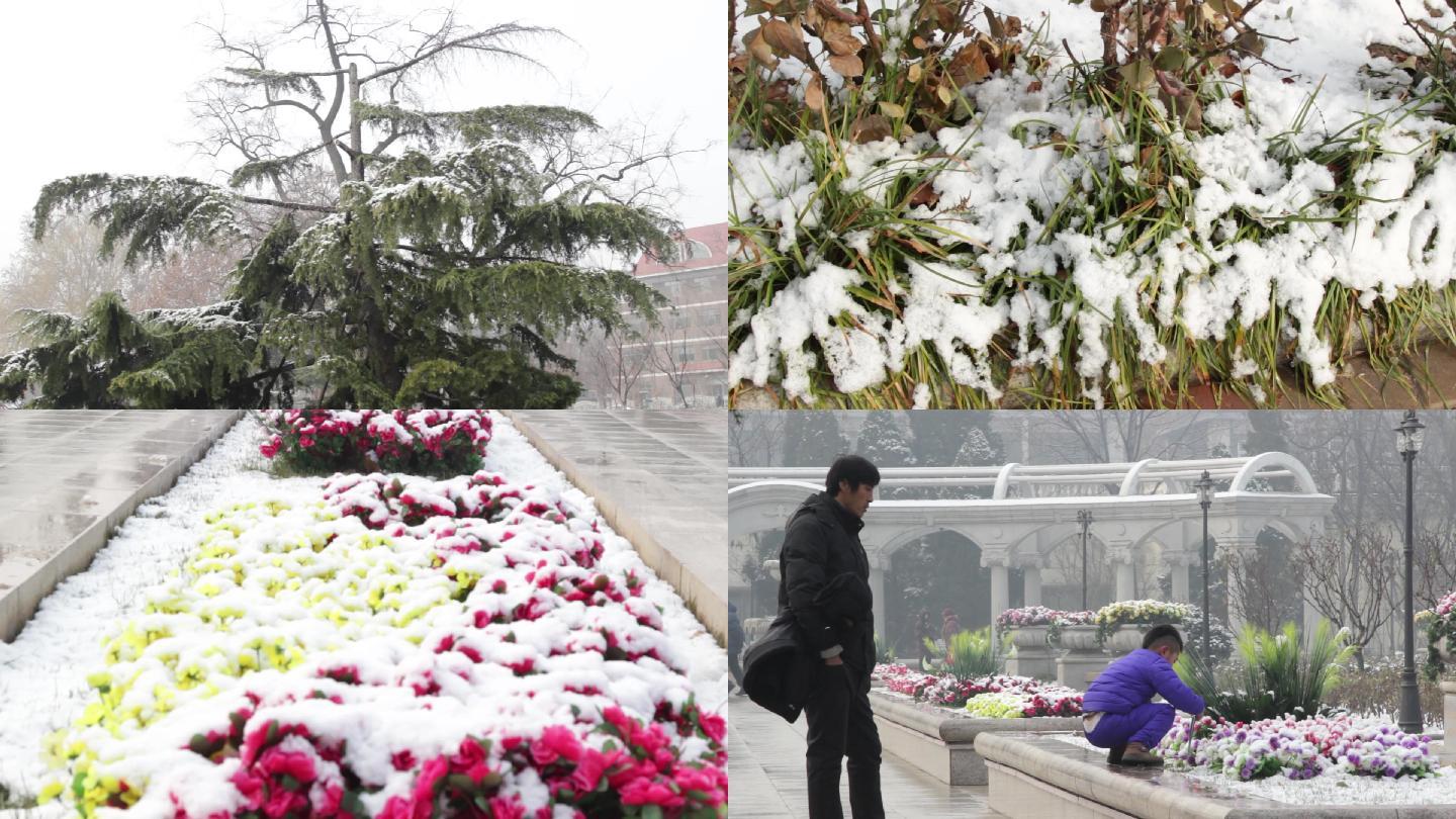 【原创】城市雪景雪后清晨