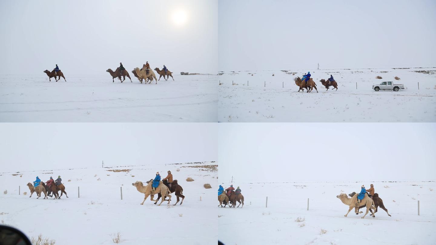 内蒙古冬日雪上赛骆驼那达慕