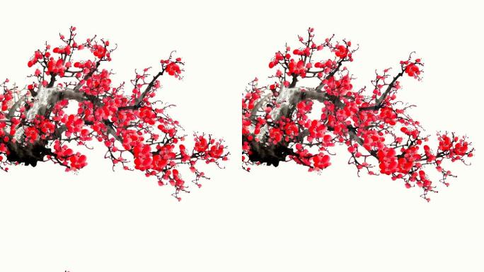 中国风红梅梅花腊梅带透明通道视频素材