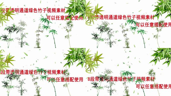 带透明通道绿色竹子清明元素可搭配视频素材