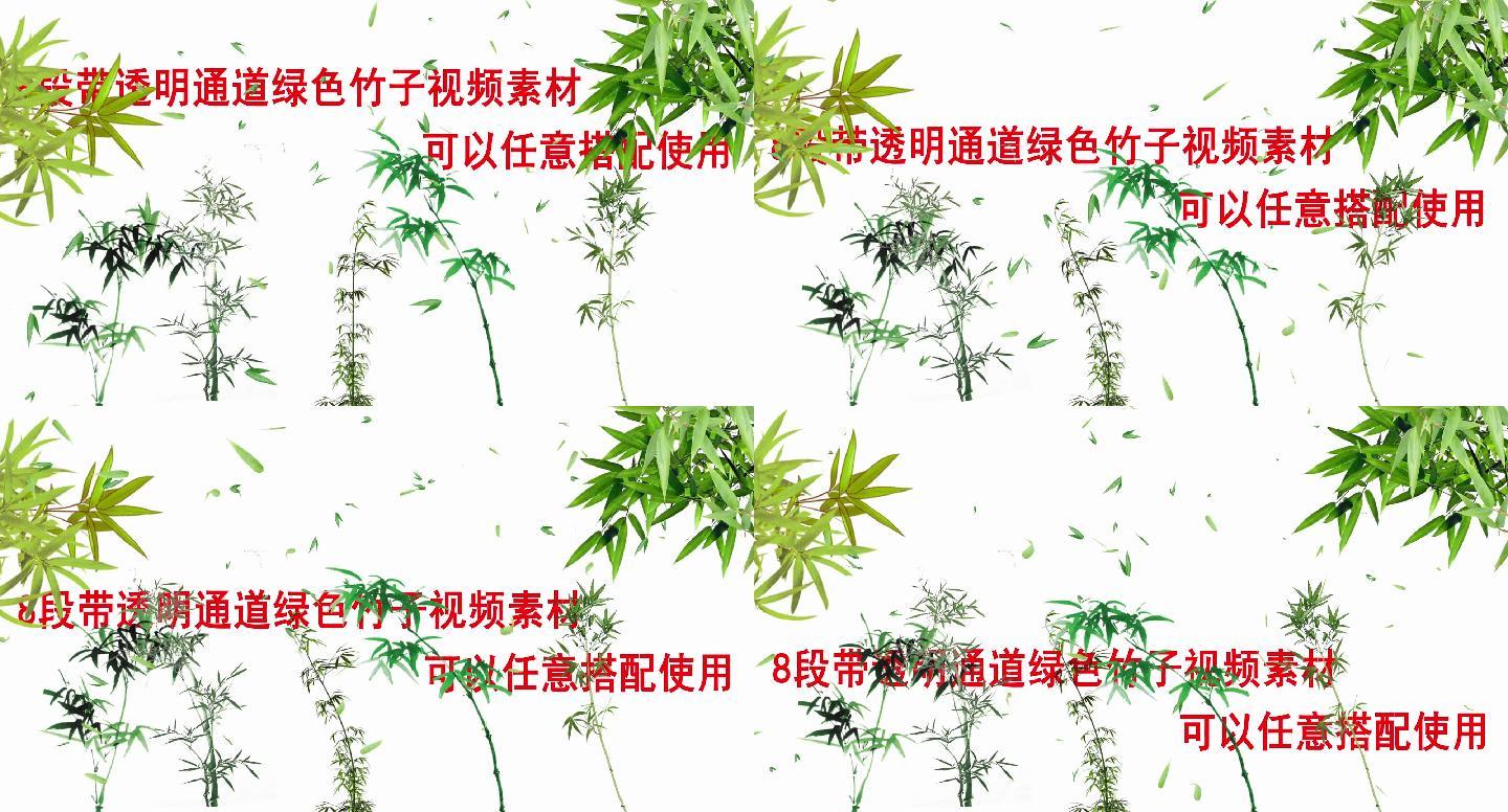 带透明通道绿色竹子清明元素可搭配视频素材