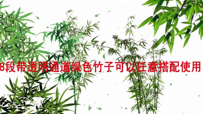 绿色竹子带透明通道清明元素可搭配视频素材