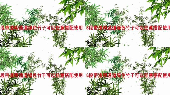 绿色竹子带透明通道清明元素可搭配视频素材