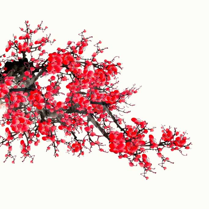 中国风红梅梅花腊梅带透明通道视频素材