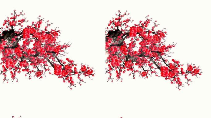 中国风红梅梅花腊梅带透明通道视频素材