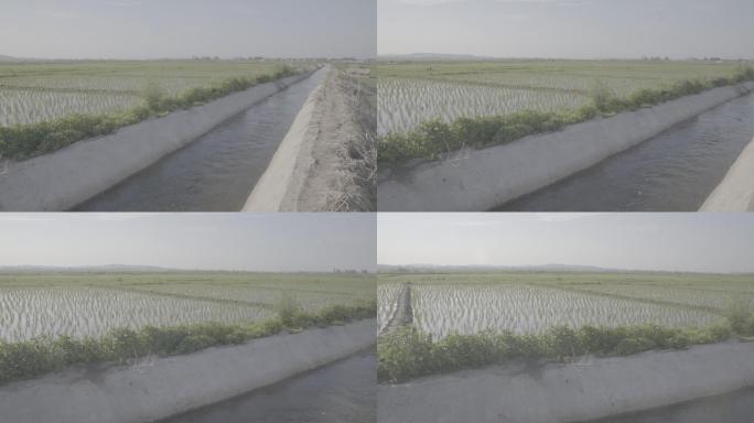 农田灌溉水渠