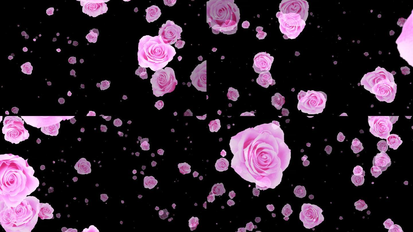 无缝循环玫瑰花朵-alpha透明通道