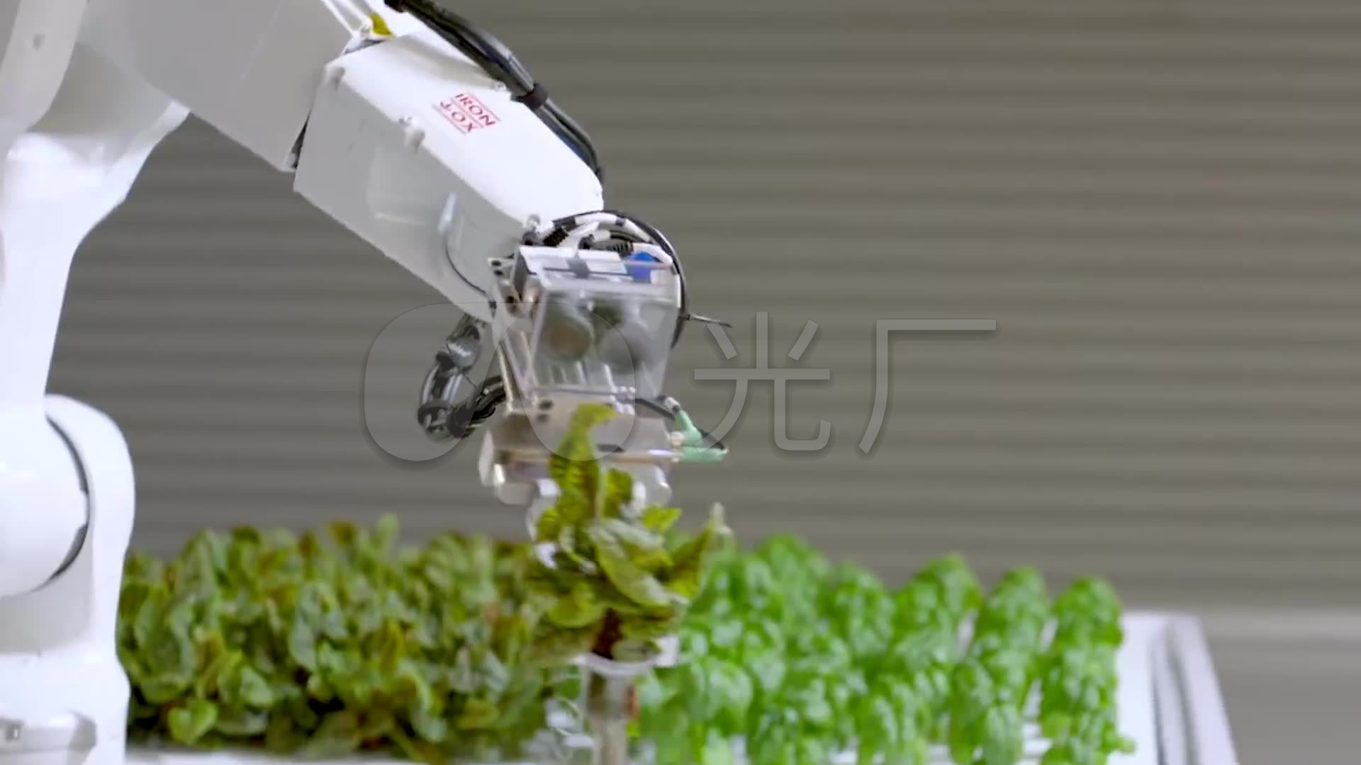 机器人种植蔬菜_1920X1080_高清视频素材下