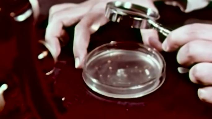 50年代医疗研究细菌研究