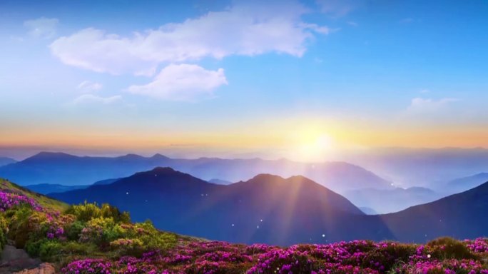 满山花海映山红日出美景