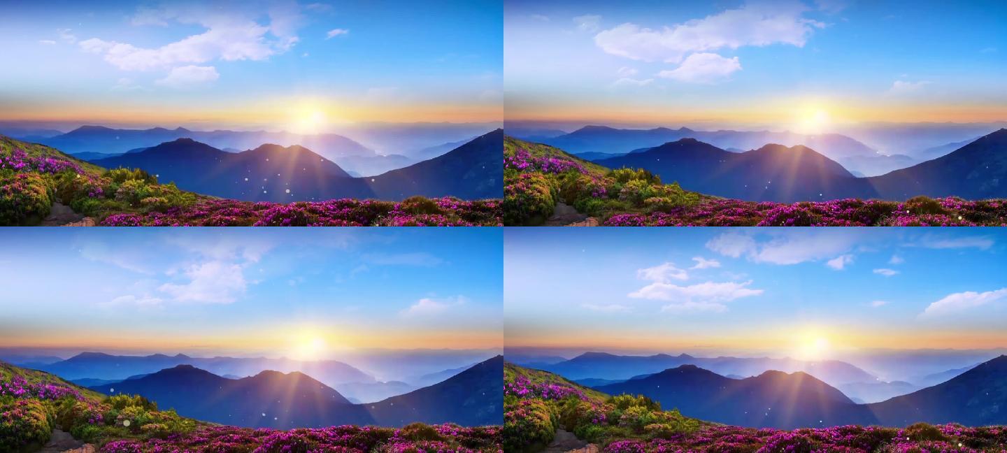 满山花海映山红日出美景